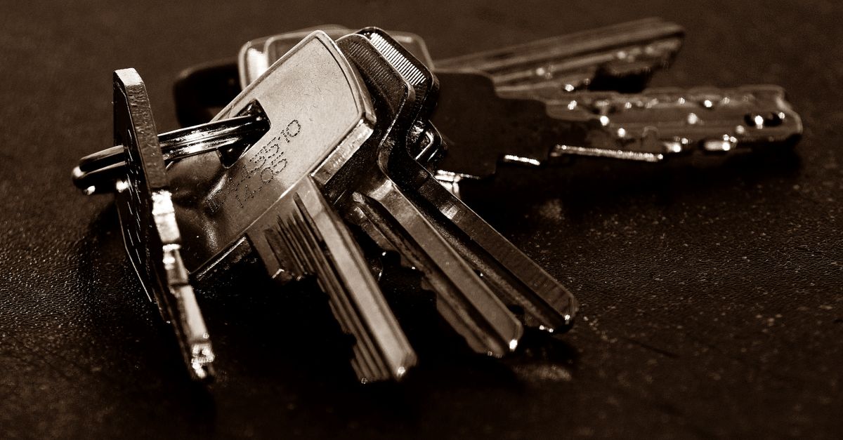 Car Keys: Is It Cheaper to Use a Locksmith or the Dealer? — Elk Grove Village Locksmith