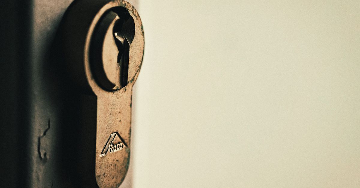 Mortise Lock Repair vs. Replacement: Which Do You Need? — Elk Grove Village Locksmith