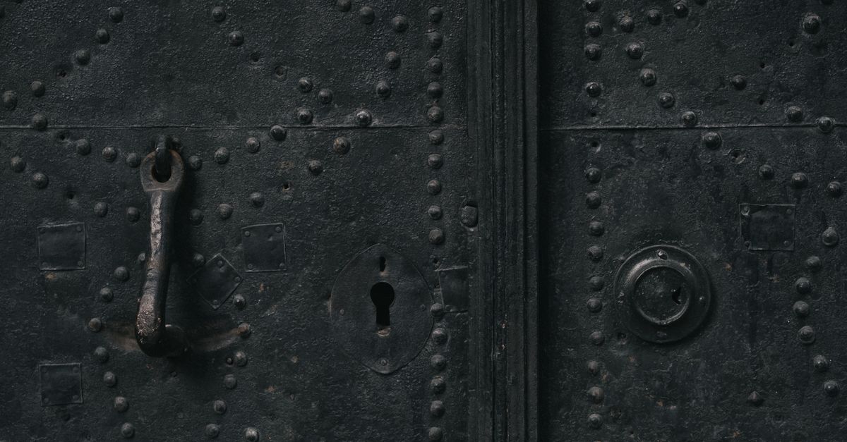 Mortise Lock Specialists and the Full Range of Door Hardware We Service — Elk Grove Village Locksmith