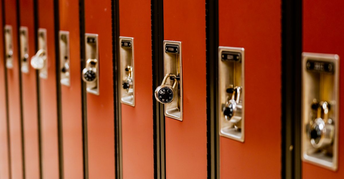 What Makes a High-Security Lock Installation Different from a Standard Upgrade — Elk Grove Village Locksmith